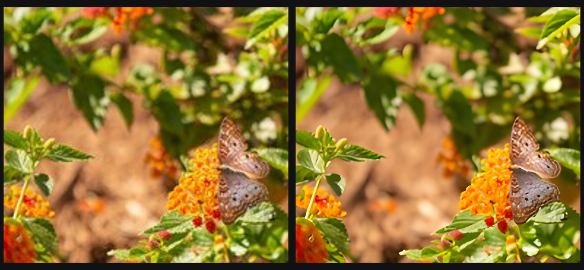 Close-up: on the left, the original enlarged 4× with a standard resize; on the right, the 4× Solace Upscale result. Both are shown at 100%.